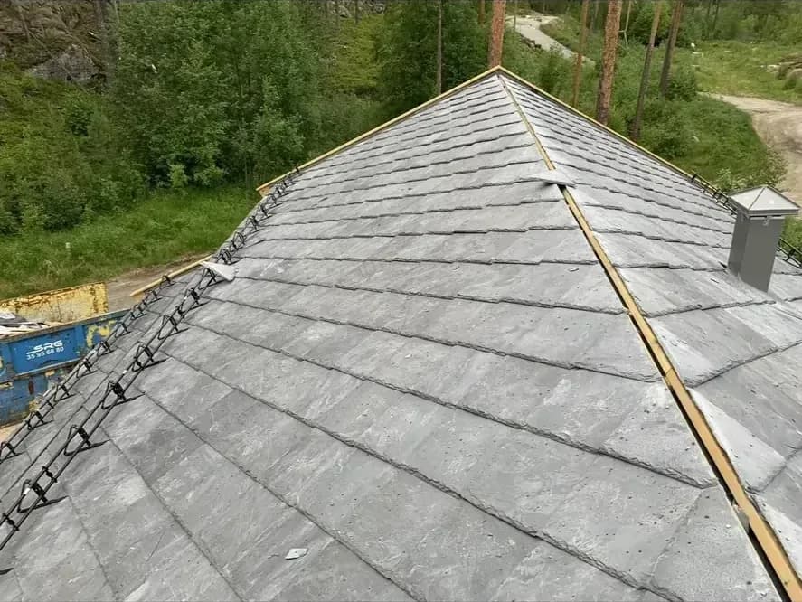 Skifertak med møne og natur i bakgrunn